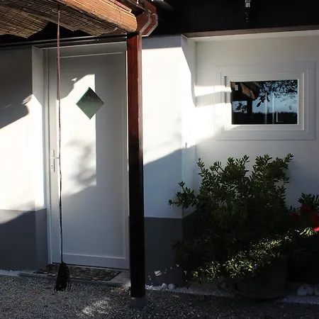 Little Dream Studio